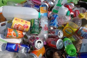 Bin collection changes are being proposed for Worcester.