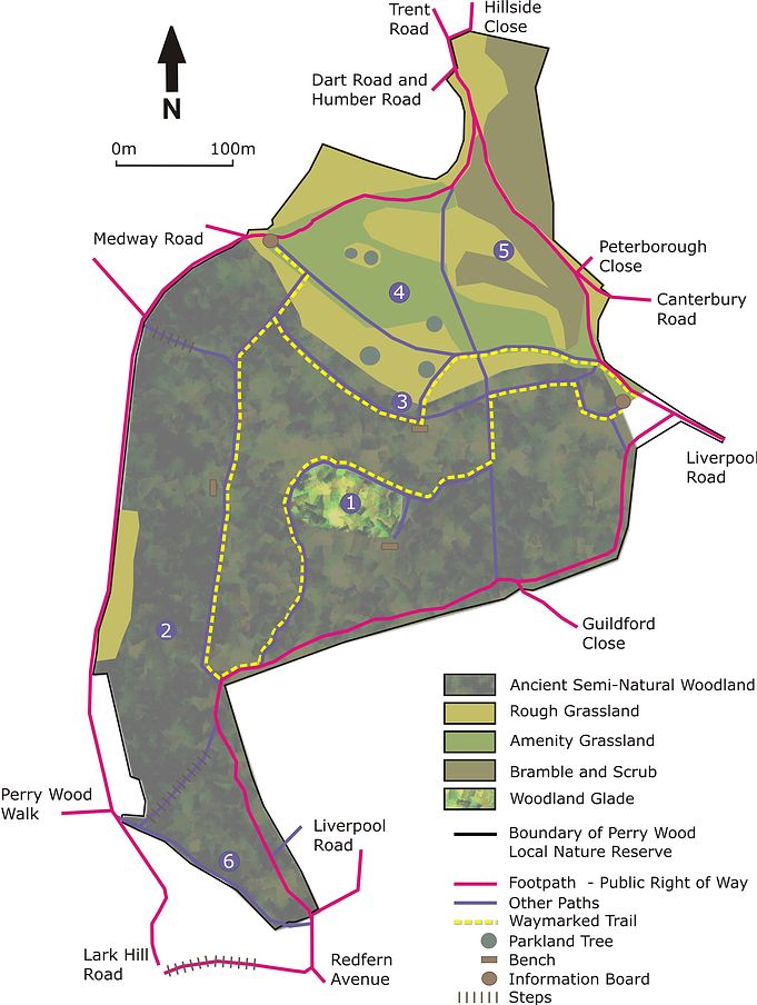 Perry Wood Site Map